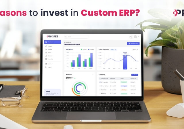 Custom ERP Software