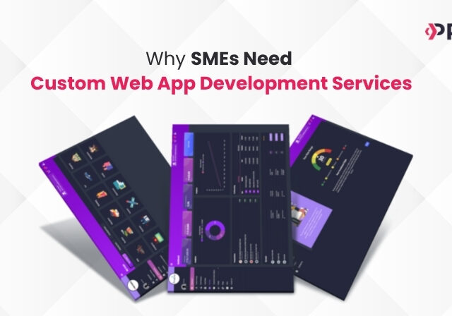 Custom Web App Development Services