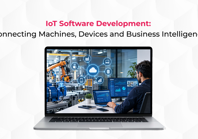 IoT Software Development